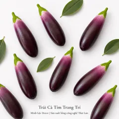 Trái Cà Tím trang trí | Trái Cây Nhựa foam, Trái Cây trang trí, Trái Cây Mô Hình