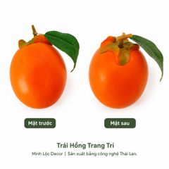 Trái Hồng trang trí | Trái Cây Nhựa foam, Trái Cây trang trí, Trái Cây Mô Hình