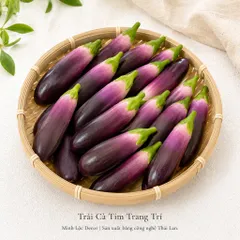 Trái Cà Tím trang trí | Trái Cây Nhựa foam, Trái Cây trang trí, Trái Cây Mô Hình