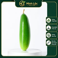 Trái Dưa Leo trang trí | Trái Cây Nhựa foam, Trái Cây trang trí, Trái Cây Mô Hình