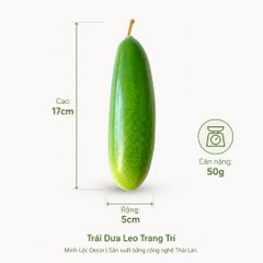 Trái Dưa Leo trang trí | Trái Cây Nhựa foam, Trái Cây trang trí, Trái Cây Mô Hình