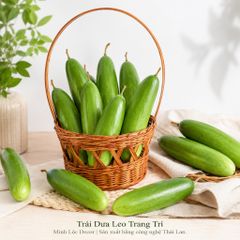 Trái Dưa Leo trang trí | Trái Cây Nhựa foam, Trái Cây trang trí, Trái Cây Mô Hình
