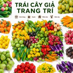 Trái cây giả, trái cây mô hình, quả giả, trang trí nhà cửa hàng quán, gắn lên cây