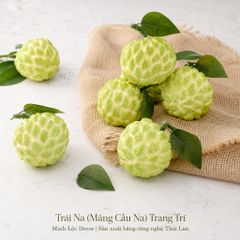 Trái Na (Mãng Cầu Na) | Trái Cây Nhựa foam, Trái Cây trang trí, Trái Cây Mô Hình