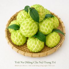 Trái Na (Mãng Cầu Na) | Trái Cây Nhựa foam, Trái Cây trang trí, Trái Cây Mô Hình