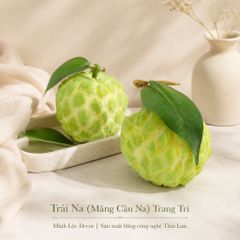 Trái Na (Mãng Cầu Na) | Trái Cây Nhựa foam, Trái Cây trang trí, Trái Cây Mô Hình