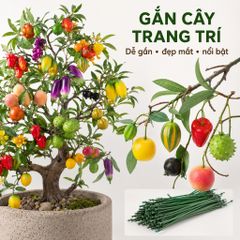 Trái cây giả, trái cây mô hình, quả giả, trang trí nhà cửa hàng quán, gắn lên cây