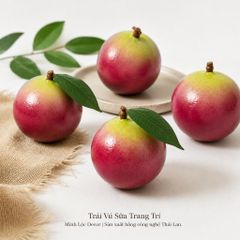 Trái Vú Sữa trang trí | Trái Cây Nhựa foam, Trái Cây trang trí, Trái Cây Mô Hình