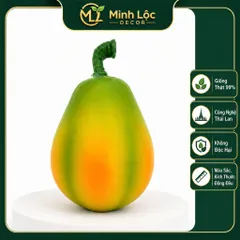 Trái Đu Đủ Tròn trang trí | Trái Cây Nhựa foam, Trái Cây trang trí, Trái Cây Mô Hình