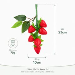 Chùm Dây Tây 6 trái/ chùm | Trái Cây Nhựa foam, Trái Cây trang trí, Trái Cây Mô Hình