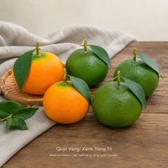 Trái Quýt Xanh/ Vàng trang trí | Trái Cây Nhựa foam, Trái Cây trang trí, Trái Cây Mô Hình