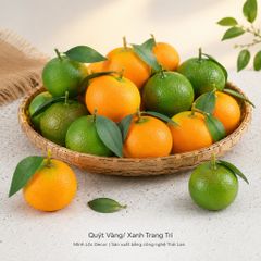 Trái Quýt Xanh/ Vàng trang trí | Trái Cây Nhựa foam, Trái Cây trang trí, Trái Cây Mô Hình