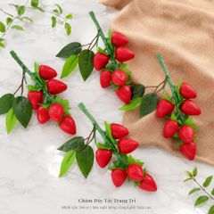 Chùm Dây Tây 6 trái/ chùm | Trái Cây Nhựa foam, Trái Cây trang trí, Trái Cây Mô Hình