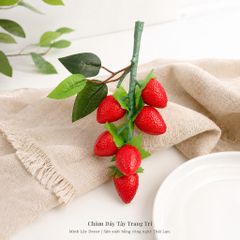 Chùm Dây Tây 6 trái/ chùm | Trái Cây Nhựa foam, Trái Cây trang trí, Trái Cây Mô Hình