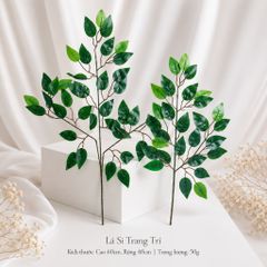 Lá Si trang trí, Lá Si Gi.ả mô hình Việt Nam công nghệ Thái Lan GIỐNG THẬT 99% | Trái Cây Nhựa foam, Trái Cây trang trí