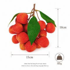 Chùm Trái Vải trang trí (15 trái/ chùm) | Trái Cây Nhựa foam, Trái Cây trang trí, Trái Cây Mô Hình