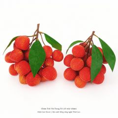Chùm Trái Vải trang trí (15 trái/ chùm) | Trái Cây Nhựa foam, Trái Cây trang trí, Trái Cây Mô Hình