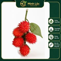 Chùm Chôm Chôm 5 trái/ chùm trang trí Cao cấp | Trái Cây Nhựa foam, Trái Cây trang trí, Trái Cây Mô Hình