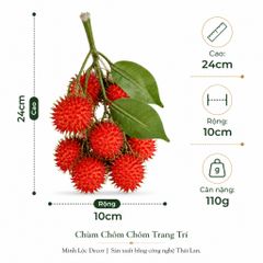 Chùm Chôm Chôm 5 trái/ chùm trang trí Cao cấp | Trái Cây Nhựa foam, Trái Cây trang trí, Trái Cây Mô Hình