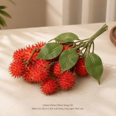 Chùm Chôm Chôm 5 trái/ chùm trang trí Cao cấp | Trái Cây Nhựa foam, Trái Cây trang trí, Trái Cây Mô Hình