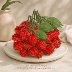 Chùm Chôm Chôm 5 trái/ chùm trang trí Cao cấp | Trái Cây Nhựa foam, Trái Cây trang trí, Trái Cây Mô Hình