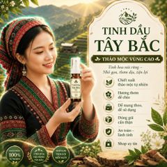 Tinh Dầu Tây Bắc Cô Đặc Từ Thiên Nhiên Siêu Sale Bán Chạy TOP 1