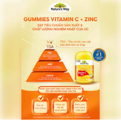 Viên nhai hỗ trợ sức đề kháng Kids Smart Vita Gummies Vitamin C + Zinc Nature's Way (60 viên)