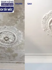 SMART TM - Dung dịch tẩy mốc Smart an toànl àm sạch mốc tường, doăng cao su, chăn gối, quần áo trắng