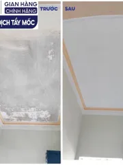 SMART TM - Dung dịch tẩy mốc Smart an toànl àm sạch mốc tường, doăng cao su, chăn gối, quần áo trắng