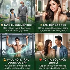 Kẽm thuần chay Zinc Bisglycinate 50mg Boticinal Pháp 100 viên