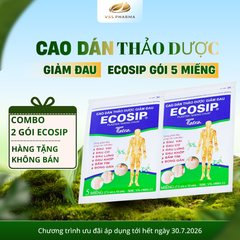 (HÀNG TẶNG KHÔNG BÁN) Cao dán thảo dược ECOSIP gói 5 miếng