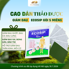 (HÀNG TẶNG KHÔNG BÁN) Cao dán thảo dược ECOSIP gói 5 miếng