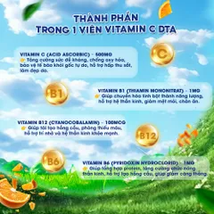 Combo Viên Uống DTA Hỗ Trợ Tăng Đề Kháng – Vitamin C & Kẽm kết hợp Vitamin nhóm B + Nhân sâm (30 ngày)