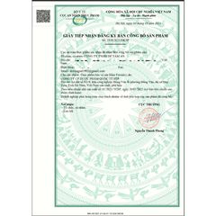 Siro uống Feronic Bổ sung sắt lII hỗ trợ cải thiện tình trạng thiếu máu do thiếu sắt & acid H20ố