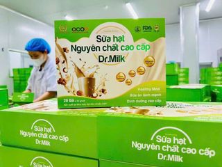 Sữa hạt nguyên chất cao cấp Dr.Milk  20 gói x 25gram TTB Group (H/20g)