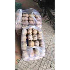 Heo đất nung trẻ thơ - size nhỏ