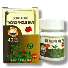 Viên uống đau nhức Xương Khớp Song long Thống phong đan – Giải Pháp Hỗ Trợ Giảm Đau Mỏi Cơ Khớp - Mã 1526