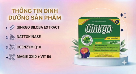 VIÊN UỐNG HOẠT HUYẾT GINKGO HỘP 100 VIÊN NANG MỀM