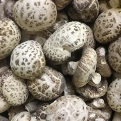 Nấm Đông Cô NHẬT BẢN Khô 500g ( Nấm To, Trắng, Hàng Thượng Hạng ) Thơm Ngon, Giàu Dinh Dưỡng