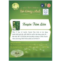 Trà Bồ Công Anh Xuyên Tâm Liên - Tăng đề kháng hộp 40 túi lọc P&K