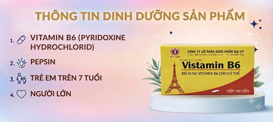 VISTAMIN 6 HỘP 100 VIÊN