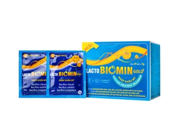 Cốm vi sinh bổ sung lợi khuẩn đường ruột Lacto Biomin Gold+ New (20 gói x 5g)