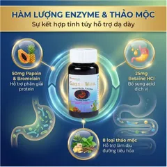 Viên uống bổ sung enzyme và các thảo mộc hỗ trợ tiêu hóa tốt Gasso Max Vitamins For Life (30 viên)