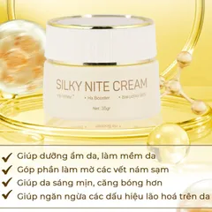 Kem Dưỡng Ban Đêm Silky Nite Cream Melaslab