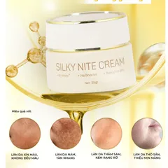 Kem Dưỡng Ban Đêm Silky Nite Cream Melaslab