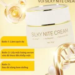 Kem Dưỡng Ban Đêm Silky Nite Cream Melaslab