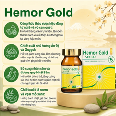 Viên uống hỗ trợ tốt cho người bị trĩ Hemor Gold Jpanwell (60 viên)