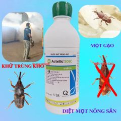 THUỐC KHỬ TRÙNG KHO ACTELLIC 50EC 1 Lít CHÍNH HÃNG SYNGENTA - Diệt triệt để các loại mọt kho, côn trùng gây hại nông sản 778825