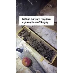 Bả diệt mối sinh học cao cấp REQUIEM 1RB 200g + 1 HỘP TRẠM nhập Hoa Kỳ, lây truyền diệt gốc tổ mối 4–6 tuần,mối ăn bã