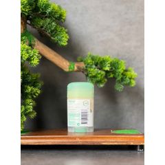 Lăn khử mùi Mitchum Natural Power Eucalyptus dành cho nữ với thành phần từ bột tre và hương khuynh diệp.